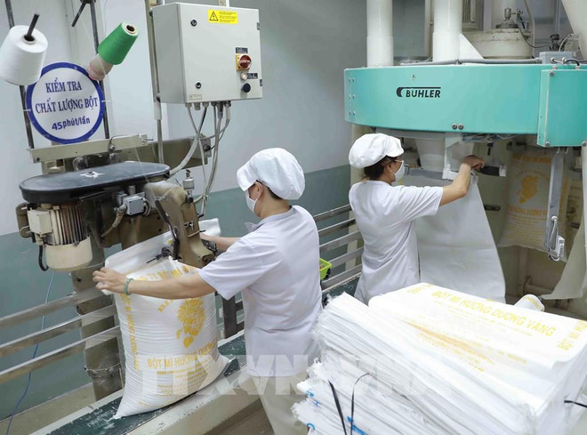 越南企业要制定高效的战略 进一步拓展欧洲市场 ảnh 1 越南企业要制定高效的战略 进一步拓展欧洲市场 ảnh 1