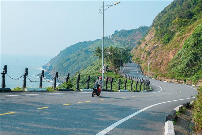 岘港市开发山茶半岛旅游潜力 ảnh 2