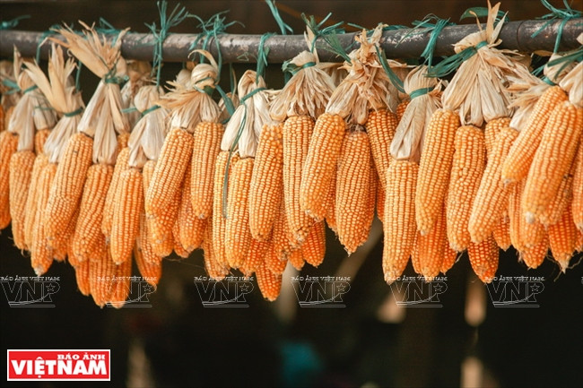 河江市的草屋村——国内外游客的有趣旅游点 ảnh 10 河江市的草屋村——国内外游客的有趣旅游点 ảnh 10