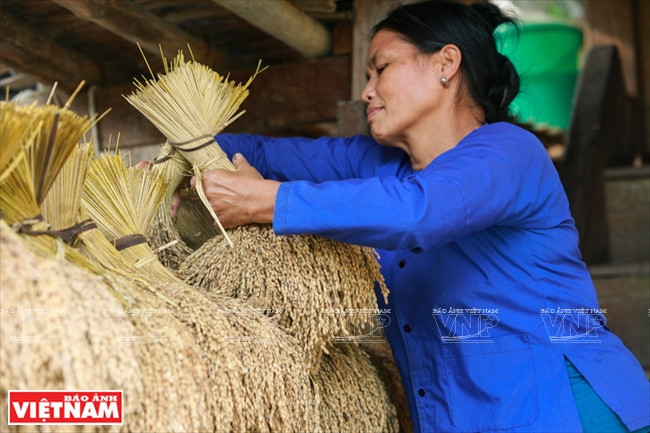 河江市的草屋村——国内外游客的有趣旅游点 ảnh 13 河江市的草屋村——国内外游客的有趣旅游点 ảnh 13