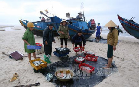 2017年越南海洋岛屿周:“绿色海洋经济”管理与发展 ảnh 1 2017年越南海洋岛屿周:“绿色海洋经济”管理与发展 ảnh 1
