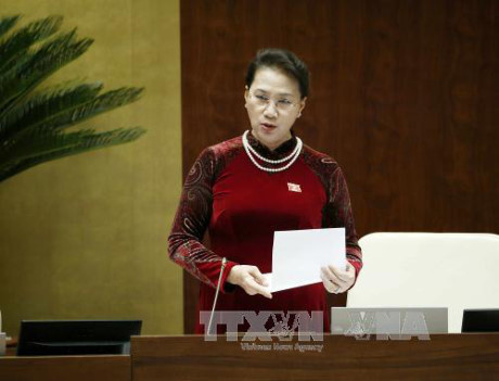 越南第十四届国会第三次会议发表第十七号公报 ảnh 1