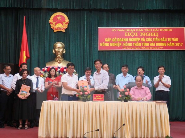 海阳省呼吁企业对农业领域进行投资 ảnh 1 海阳省呼吁企业对农业领域进行投资 ảnh 1