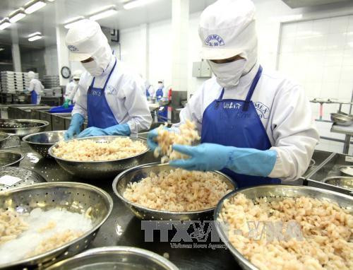 澳大利亚同意复进口于越南加工的虾类 ảnh 1