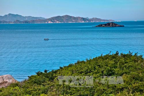 2017年越南海洋岛屿周：加大管理力度 充分挖掘海洋岛屿潜力 ảnh 1