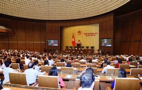 越南国会通过《外贸管理法》草案 ảnh 1