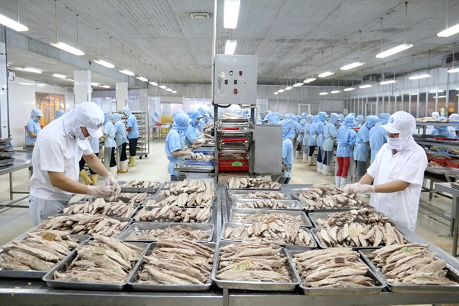 挪威协助越南培训500名从事水产养殖业 的劳动力 ảnh 1 挪威协助越南培训500名从事水产养殖业 的劳动力 ảnh 1