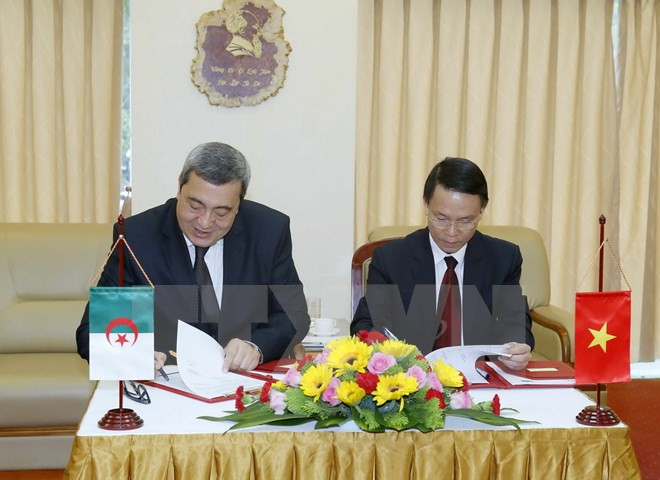越南通讯社与阿尔及利亚国家通讯社加强合作 ảnh 2