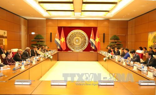 国会主席阮氏金银与古巴全国人民政权代表大会主席举行会谈 ảnh 2 国会主席阮氏金银与古巴全国人民政权代表大会主席举行会谈 ảnh 2