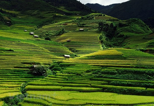 越南西北山林令人痴迷的木江界 ảnh 2 越南西北山林令人痴迷的木江界 ảnh 2