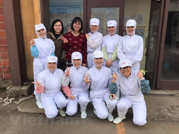 越南出国务工人员权益保障:大力拓展境外劳务市场让更多的人走上致富路 ảnh 1 越南出国务工人员权益保障:大力拓展境外劳务市场让更多的人走上致富路 ảnh 1