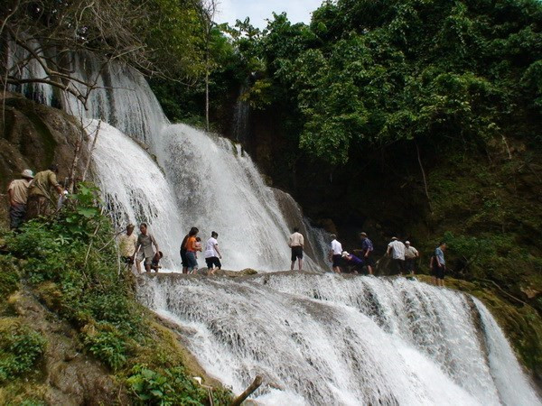 宣光省注重推动旅游业发展成为拳头经济产业 ảnh 2