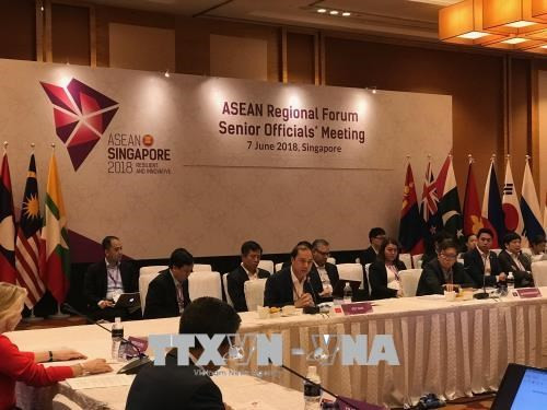 越通社一周要闻回顾(2018.6.4-2018.6.10) ảnh 6 越通社一周要闻回顾(2018.6.4-2018.6.10) ảnh 6