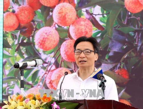 2018年海阳省清河荔枝节开幕 ảnh 1 2018年海阳省清河荔枝节开幕 ảnh 1