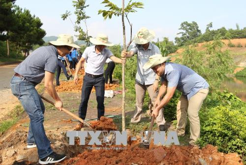越南积极响应世界防治荒漠化与干旱日 ảnh 1