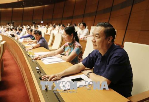 越南国会正式通过《体育法》(修正案) ảnh 1 越南国会正式通过《体育法》(修正案) ảnh 1