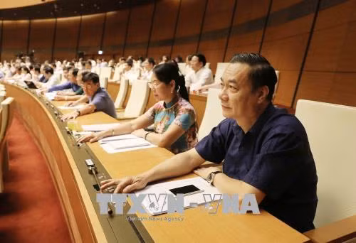 越南国会正式通过《体育法》（修正案） ảnh 1