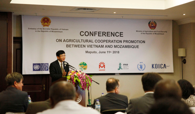 莫桑比克高度评价与越南的农业合作效果 ảnh 1
