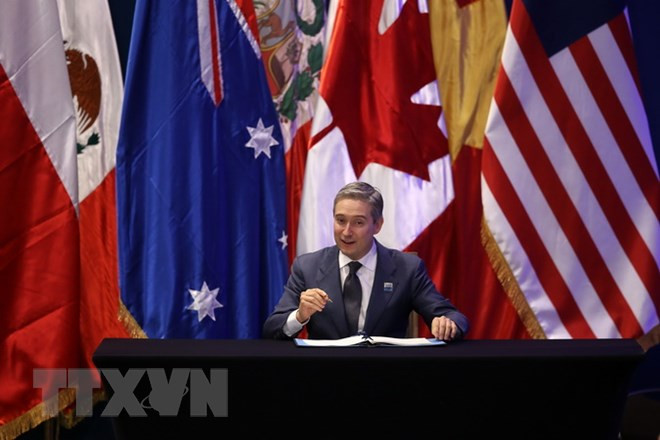 加拿大将加快批准CPTPP ảnh 1 加拿大将加快批准CPTPP ảnh 1