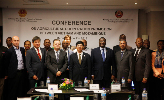 莫桑比克高度评价与越南的农业合作效果 ảnh 2