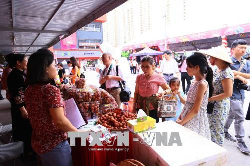 2018年河内-北江陆岸荔枝周正式开幕 ảnh 2 2018年河内-北江陆岸荔枝周正式开幕 ảnh 2