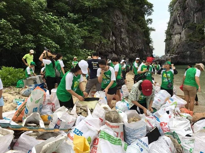 广宁省下龙市走向无垃圾旅游 打造绿色下龙湾 ảnh 2 广宁省下龙市走向无垃圾旅游 打造绿色下龙湾 ảnh 2