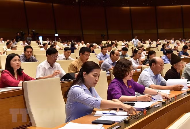 第十四届国会第五次会议：国会表决通过三项法律草案 ảnh 1