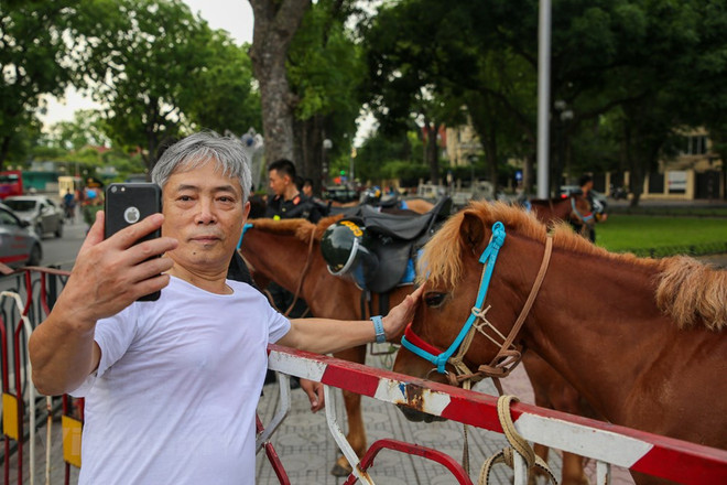 组图:越南机动警察骑兵队正式亮相 ảnh 13 组图:越南机动警察骑兵队正式亮相 ảnh 13