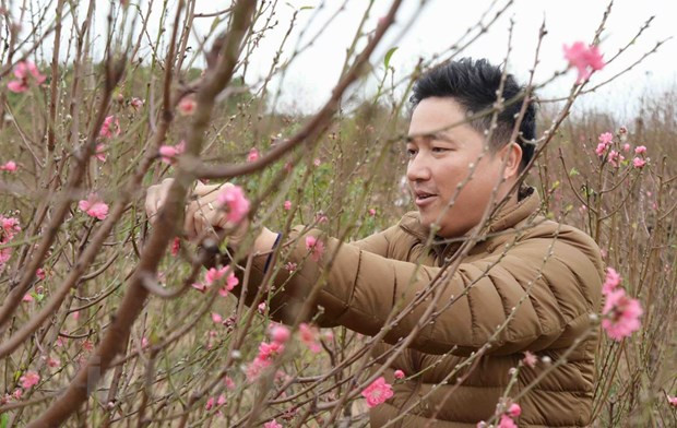 更子春节即将来临 廷榜桃花村准备迎接大丰收 ảnh 2 更子春节即将来临 廷榜桃花村准备迎接大丰收 ảnh 2