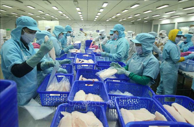 2020年越南出口创下新纪录 ảnh 1