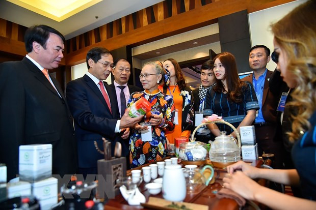 推动越南与非洲及中东地区国家合作走向务实和高效 ảnh 2 推动越南与非洲及中东地区国家合作走向务实和高效 ảnh 2