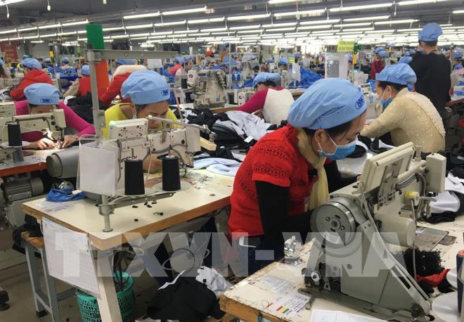 德国媒体高度评价越南为应对经济危机所付出的努力 ảnh 2 德国媒体高度评价越南为应对经济危机所付出的努力 ảnh 2