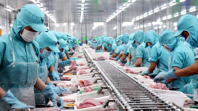 越南坚江省协助企业扩大出口市场 ảnh 1