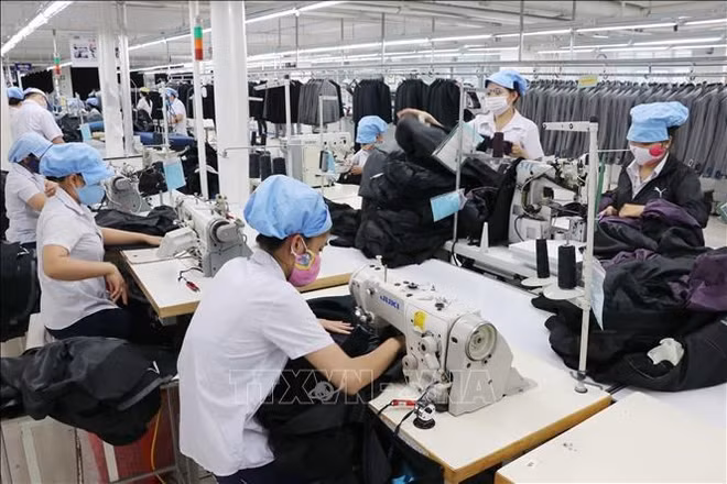 越南工贸部部长：充分利用电子商务带来的机遇，有效开发国内市场 ảnh 2