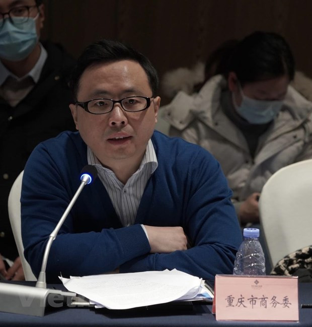 中国重庆市与越南合作潜力仍然巨大 ảnh 2