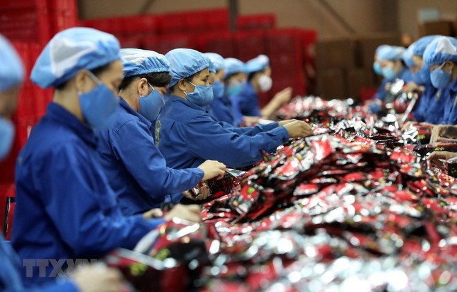 VBF2020:强化措施加快企业全球化进程 ảnh 1 VBF2020:强化措施加快企业全球化进程 ảnh 1