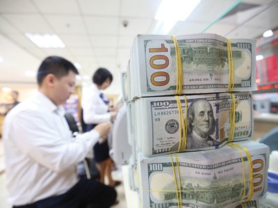 2020年胡志明市侨汇收入约达 55 亿美元 ảnh 1