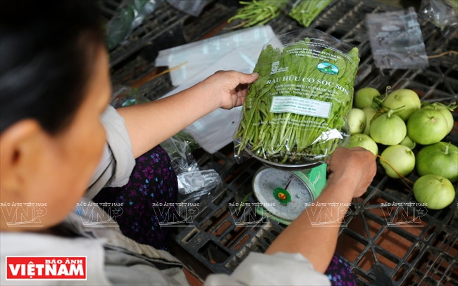 越南 VECO ảnh 10