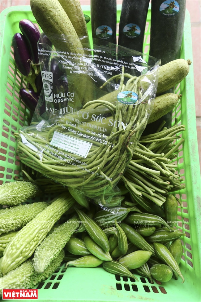 越南 VECO ảnh 12