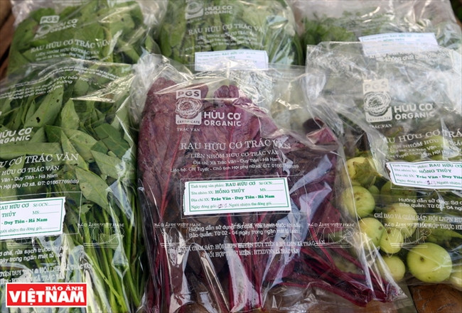 越南 VECO ảnh 13