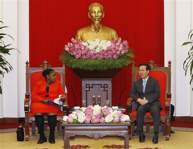 越共中央书记处常务书记武文赏会见莫桑比克议会议长 ảnh 1 越共中央书记处常务书记武文赏会见莫桑比克议会议长 ảnh 1