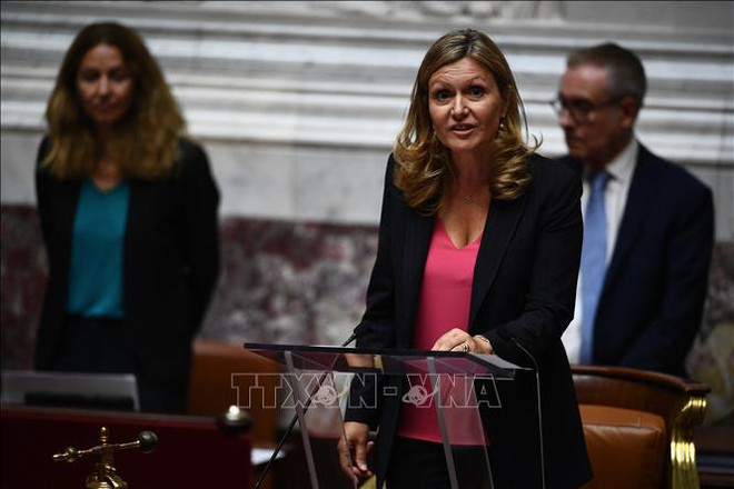 越南国会主席王廷惠向法国国民议会主席致贺电 ảnh 1