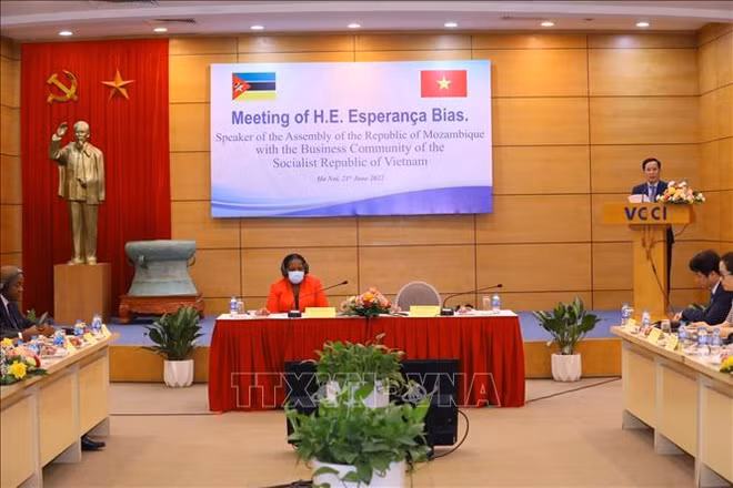 莫桑比克将成为越南企业进入南部非洲国家的门户 ảnh 1 莫桑比克将成为越南企业进入南部非洲国家的门户 ảnh 1