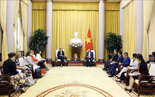 越南国家主席阮春福会见澳大利亚外交部长黄英贤 ảnh 1