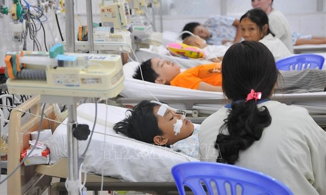 登革热病例迅速增加 努力制止疫上加疫 ảnh 1