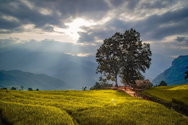 老街省力争将伊子乡建设成为该省重点旅游区 ảnh 1 老街省力争将伊子乡建设成为该省重点旅游区 ảnh 1