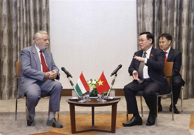 越南国会主席王廷惠会见匈牙利-越南友好协会领导 ảnh 1