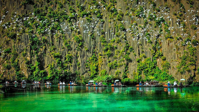 越南力争促进负责任旅游和野生动物保护 ảnh 1 越南力争促进负责任旅游和野生动物保护 ảnh 1