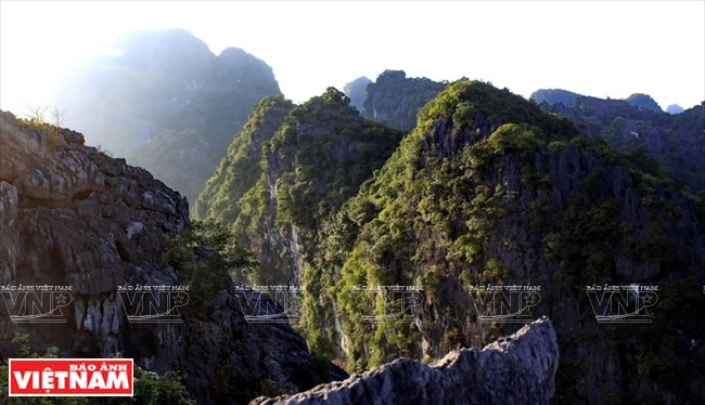 宁平省长安世界遗产中的古寺 ảnh 12 宁平省长安世界遗产中的古寺 ảnh 12