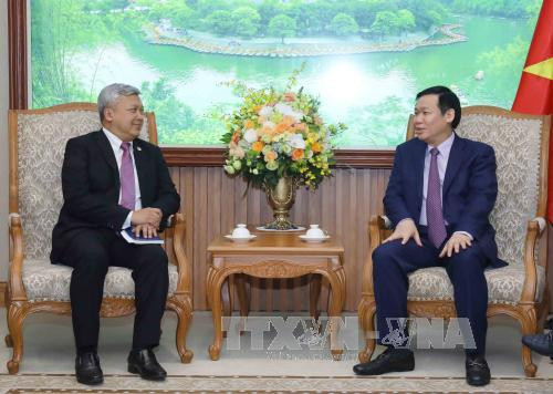 越南加强与印尼、新西兰和澳大利亚的合作 ảnh 1 越南加强与印尼、新西兰和澳大利亚的合作 ảnh 1